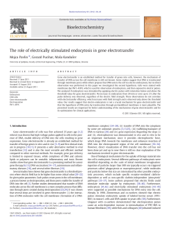 The role of electrically stimulated endocytosis in gene electrotransfer