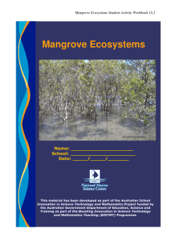 Mangroves Ecosystems Student Activity Workbook