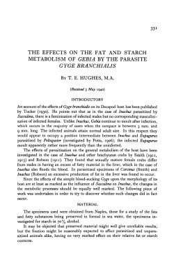 the effects on the fat and starch metabolism of gebia by the parasite