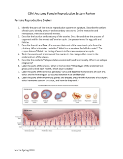 CSM Anatomy Female Reproductive System Review Female