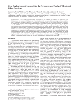 Gene Duplications and Losses within the