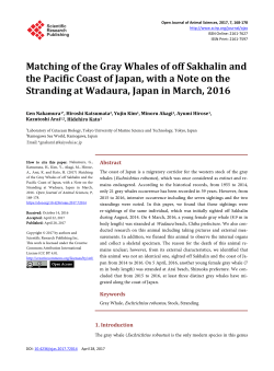 Matching of the Gray Whales of off Sakhalin and the Pacific Coast of