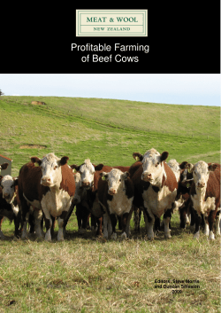 Profitable Farming of Beef Cows - Beef