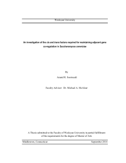 An Investigation of the cis and trans Factors Required