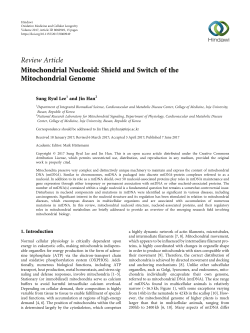 Mitochondrial nucleoid
