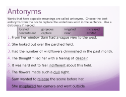 Antonyms - beatricepublicschools.org
