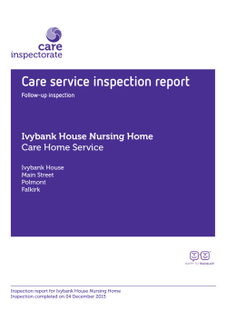 Care service inspection report