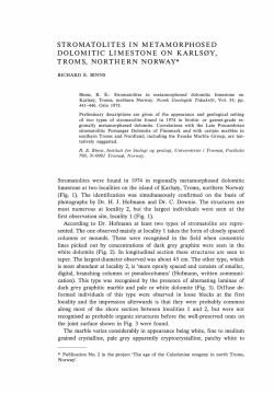 STROMATOLITES IN METAMORPHOSED DOLOMITIC LIMESTONE