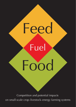 Feed, food and fuel: competition and potential - CGSpace