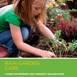 rain garden care - 12000 Rain Gardens