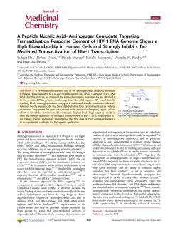 A Peptide Nucleic Acid&ndash;Aminosugar Conjugate Targeting