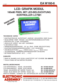 EA W160-6 LCD- GRAFIK MODUL