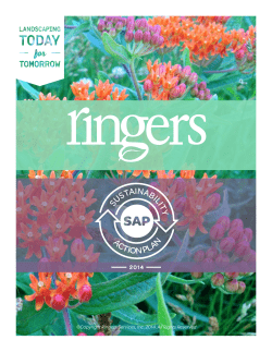 sustainability action plan