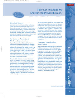 How Can I Stabilize My Shoreline to Prevent Erosion?