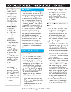 sonoran desert predators and prey - Arizona