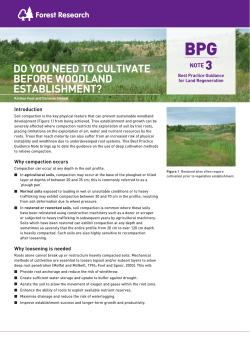 do you need to cultivate before woodland establishment?