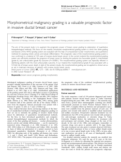 Morphometrical malignancy grading is a valuable