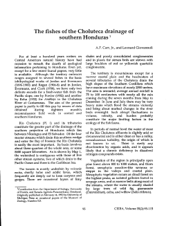 The fishes of the Choluteca drainage of southern Honduras 1
