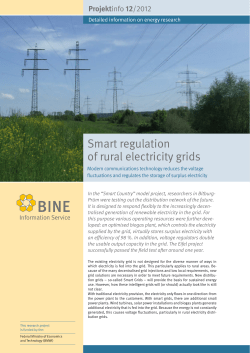 Projektinfo 12/2012 - BINE Informationsdienst