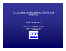 Surface Ocean Fertilization Overview