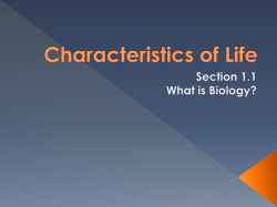 Characteristics of Life