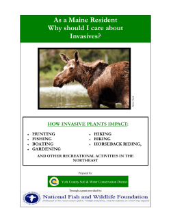 As a Maine Resident, Why Should I Care About Invasives?