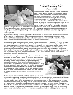 here - Wings Wildlife Rehabilitation Centre