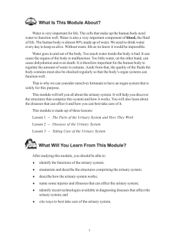 The Urinary System - eSkwela Naga City