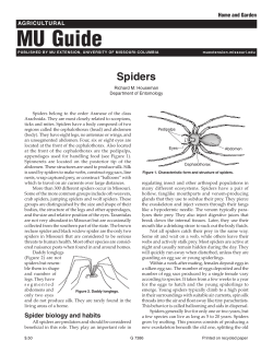 MU Guide - Division of Plant Sciences
