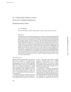 AN ULTRASTRUCTURAL STUDY OF PLANT SPERMATOGENESIS