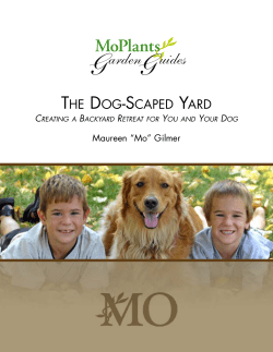 The Dog-Scaped Yard