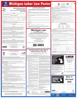 Michigan Law