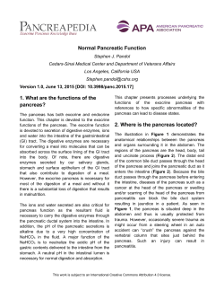 Normal Pancreatic Function