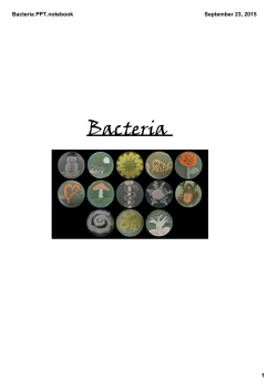 Bacteria PPT.notebook