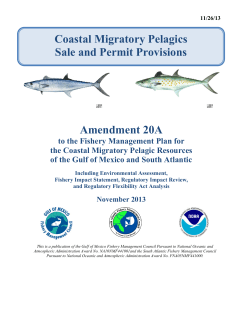 Amendment 20A Coastal Migratory Pelagics Sale and Permit