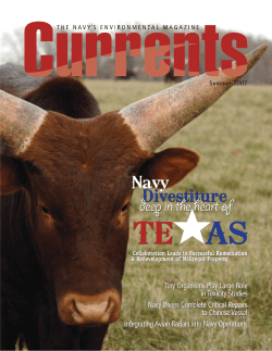 Sum07_Navy Divestiture Deep in the Heart of Texas