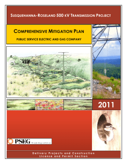 COMPREHENSIVE MITIGATION PLAN