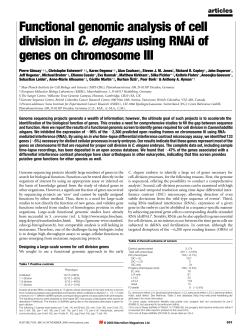 Functional genomic analysis of cell division in C