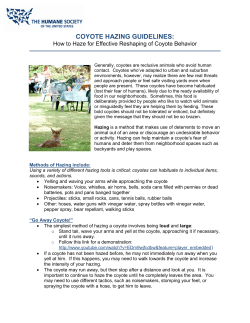 coyote hazing guidelines
