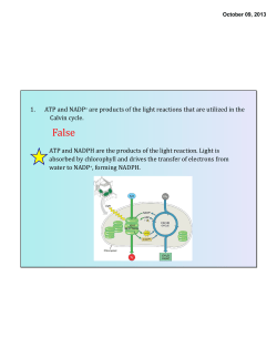 1. ATP and NADP+ are products of the light reactions that are