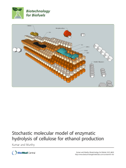 Stochastic molecular model of enzymatic hydrolysis of cellulose for