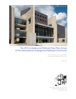 2010 Free Press Underground Railroad Survey Report