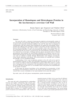 Fulltext: english,