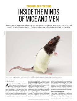 inside the minds of mice and men