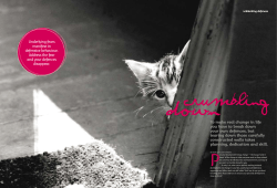 To make real change in life you have to break down your own