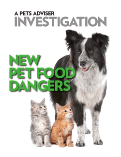 Chinese Ingredients in Pet Food
