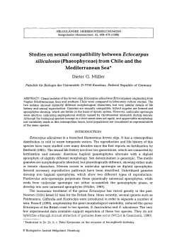 Studies on sexual compatibility between <Emphasis Type="Italic