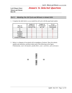 Lab 7 Cell Divsion