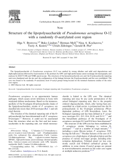 Structure of the lipopolysaccharide of Pseudomonas aeruginosa O