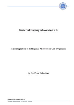 Bacterial Endosymbiosis in Cells
